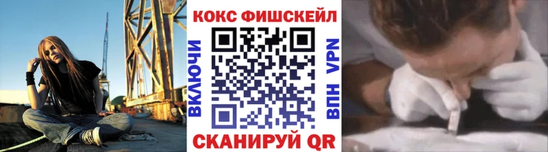 Купить где  Красноуфимск  Cocaine FishScale 