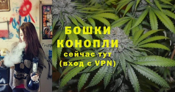 гидропоника Дмитровск