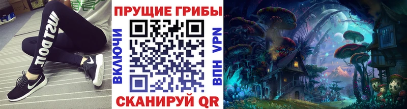 Псилоцибиновые грибы Psilocybine cubensis  Купить  Красноуфимск 
